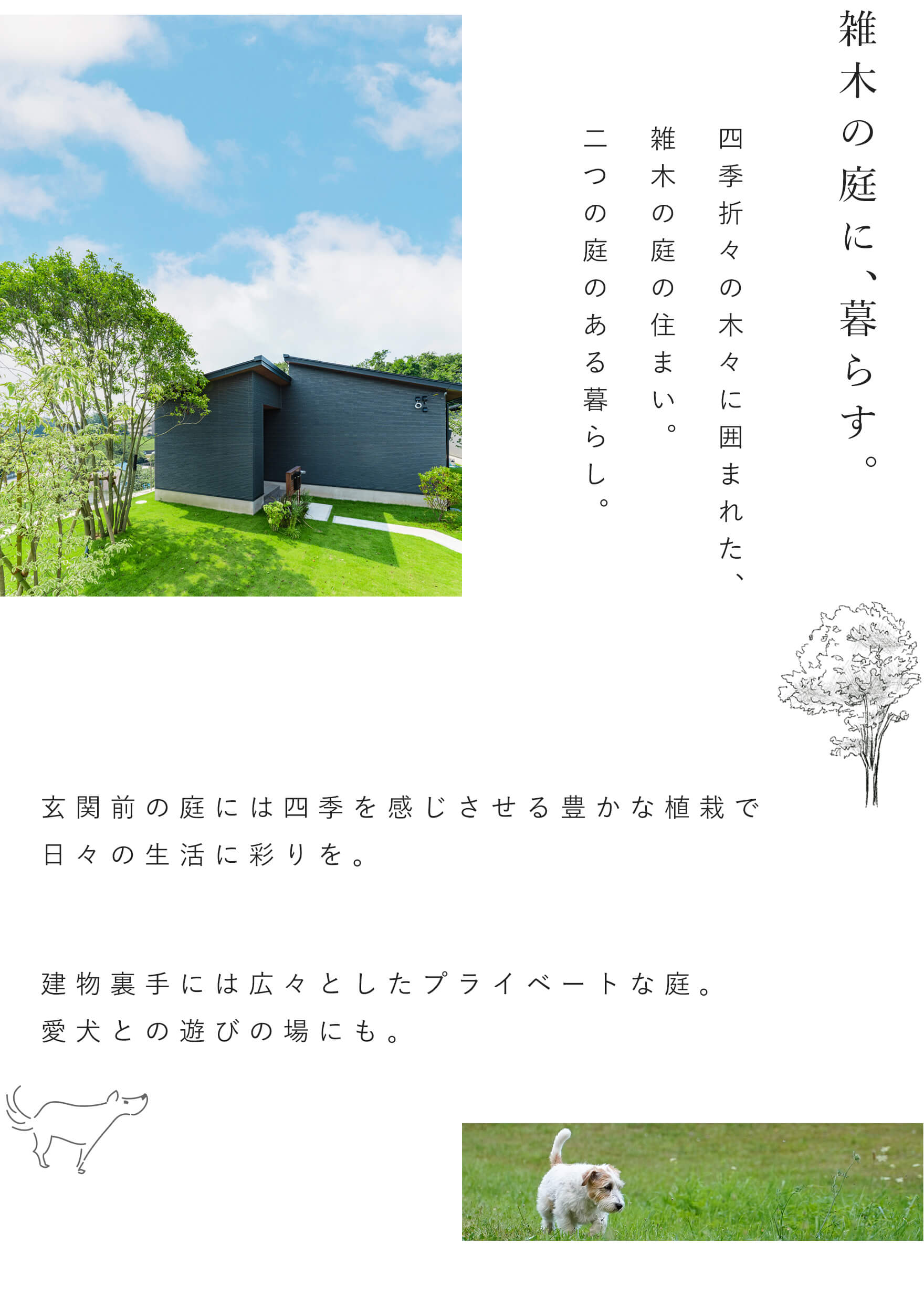 緑ある住まい／千葉市花見川区の平屋。限定3邸