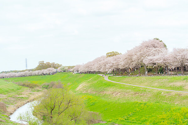 PARKイメージ01